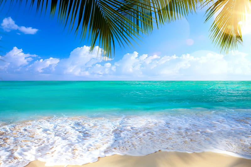 Bãi biển (Beach): Tìm hiểu thiên nhiên đa dạng của bãi biển thông qua hình ảnh đẹp mắt này. Tận hưởng khung cảnh đầy màu sắc của bãi cát trắng và biển xanh sapphire. Hình ảnh sẽ đưa bạn đến những điểm nổi bật trên bãi biển như các bãi tắm, các khu nghỉ dưỡng sang trọng, cùng nhiều hoạt động thú vị.