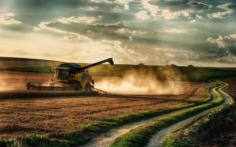 harvesting, combine, harvester, field, wheat, night, sunset, work, HD wallpaper
