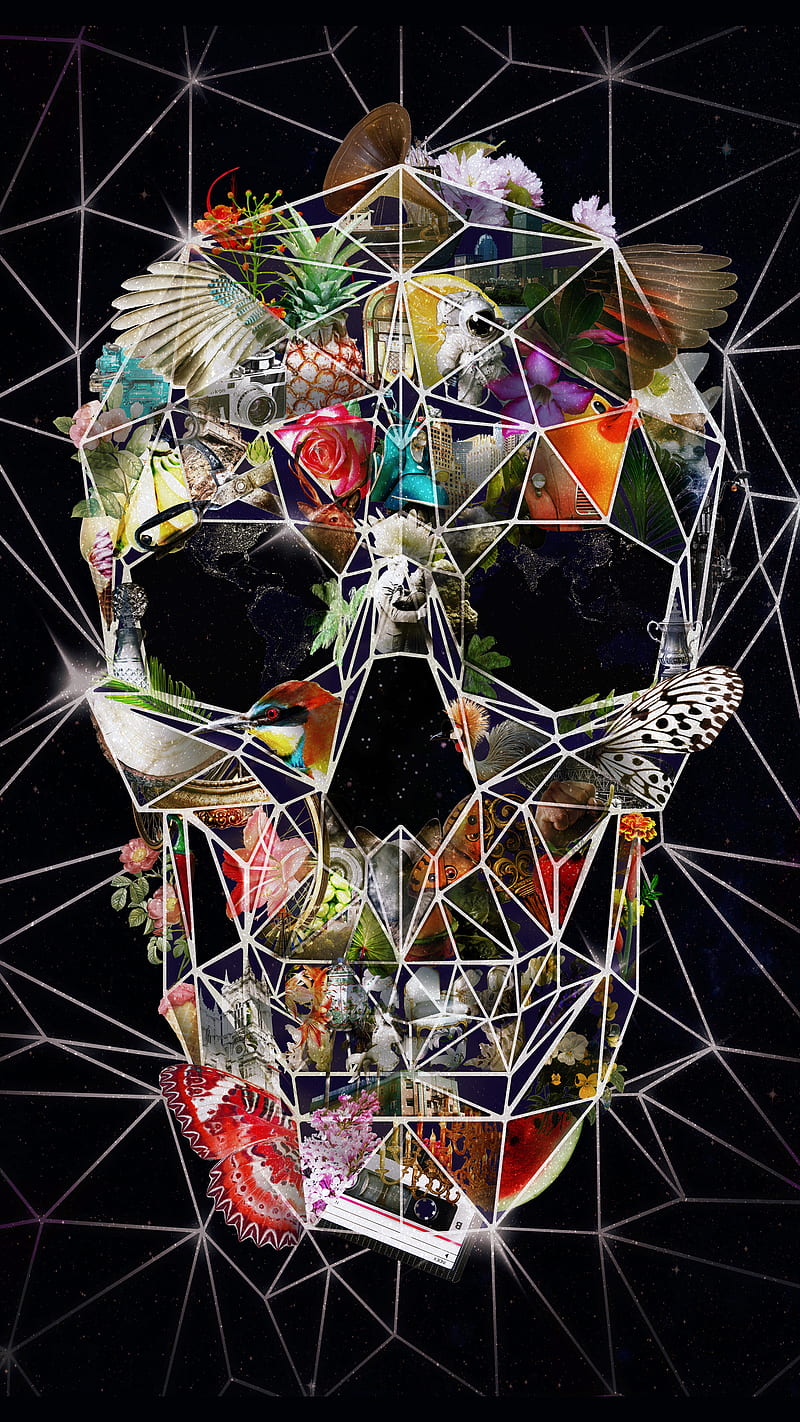Fragile Skull_portrait, Ali, ali gulec, art, black and white, cool, dark, digital, drawing, floral, geometric, halloween, ikiiki, illustration, nature, pattern, skull, sugar skull, HD phone wallpaper