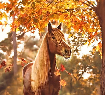 Autumn, green, orange, bridge, pictura, horse, art, toamna, cal, tree