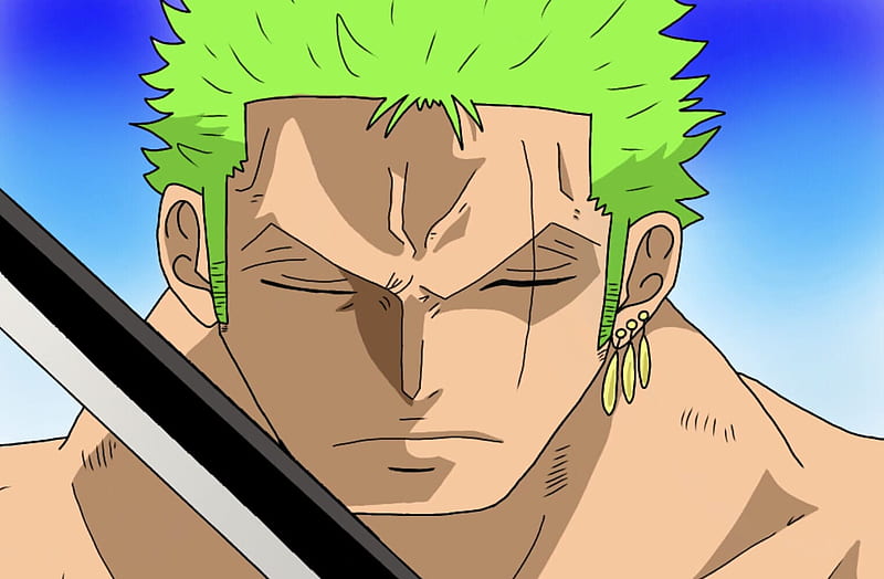 Roronoa Zoro ❁ on Twitter  Manga anime one piece, Roronoa zoro, Aesthetic  anime