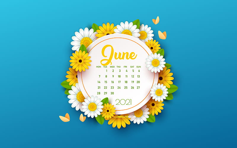 2021 June Calendar, blue background with flowers, spring blue background, 2021 spring calendars, June, flowers spring background, June 2021 Calendar, HD wallpaper