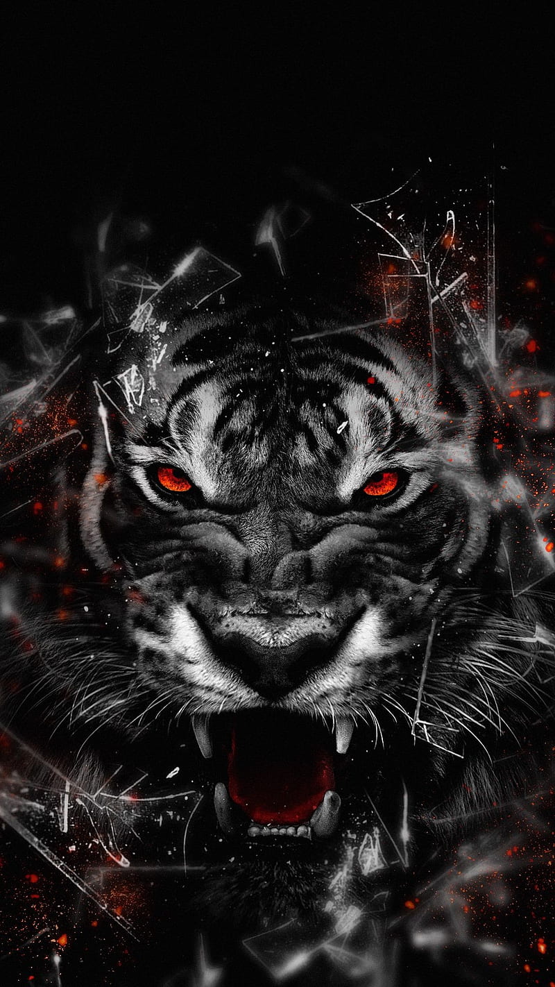 Mad tiger, glass, red eyes, animal, broken glass, angry, black and white,  scary, HD phone wallpaper | Peakpx