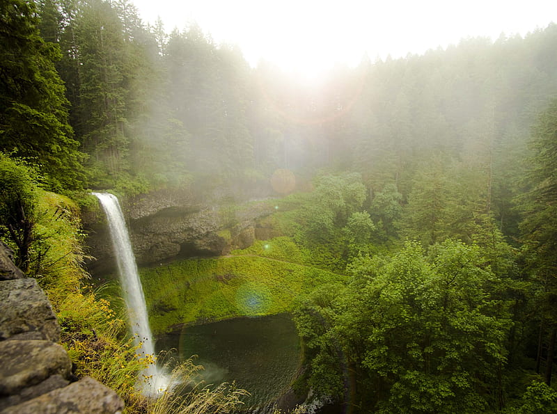 Forest Waterfall Ultra, Nature, Waterfalls, climb, climbing, forest, woods, green, waterfall, HD wallpaper