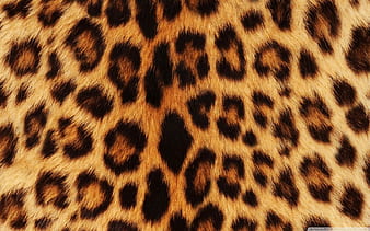 Animal print background hi-res stock photography and images - Alamy