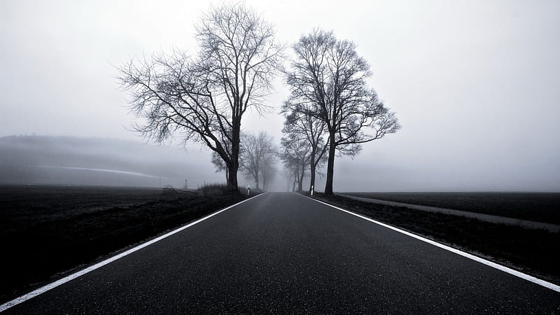 blacktop in black and white, blacktop, black and white, fields, road, trees, fog, HD wallpaper