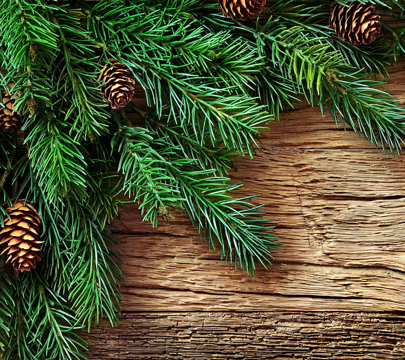 Christmas Decoration, christmas, decoration, fir, merry, tree, wood, HD wallpaper