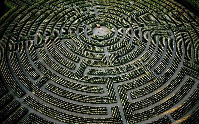 The largest plant maze in the world, at Reignac-sur-Indre, Indre-et-Loire Department, France, architecture, green, labirinth, France, Indre-et-Loire Department, HD wallpaper