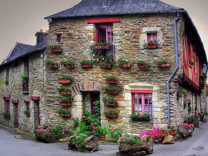 Beautiful House, architecture, colorful, house, bonito, nice, splendor, flowers, beauty, way, pink, road, pink flowers, lovely, view, houses, buildings, colors, sky, building, peaceful, nature, alley, HD wallpaper