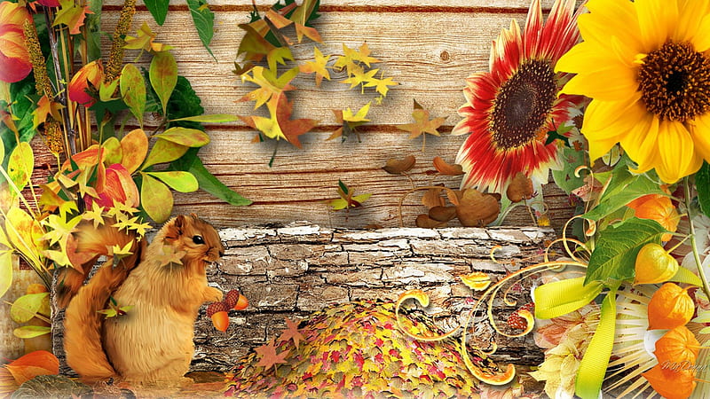Fall Squirrel, fall, autumn, squirrel, log, leaves, sunflowers, flowers, garden, pods, wood, HD wallpaper