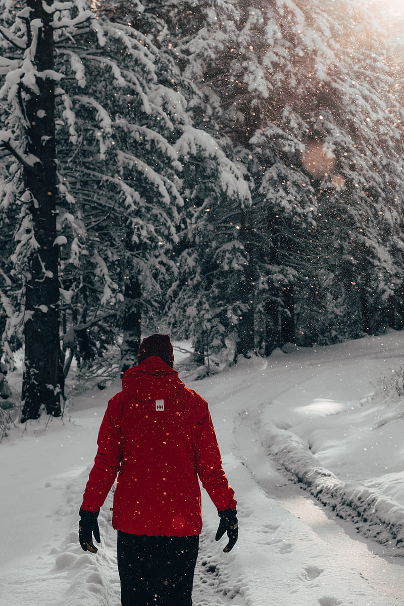 man, snow, trees, winter, walk, HD phone wallpaper