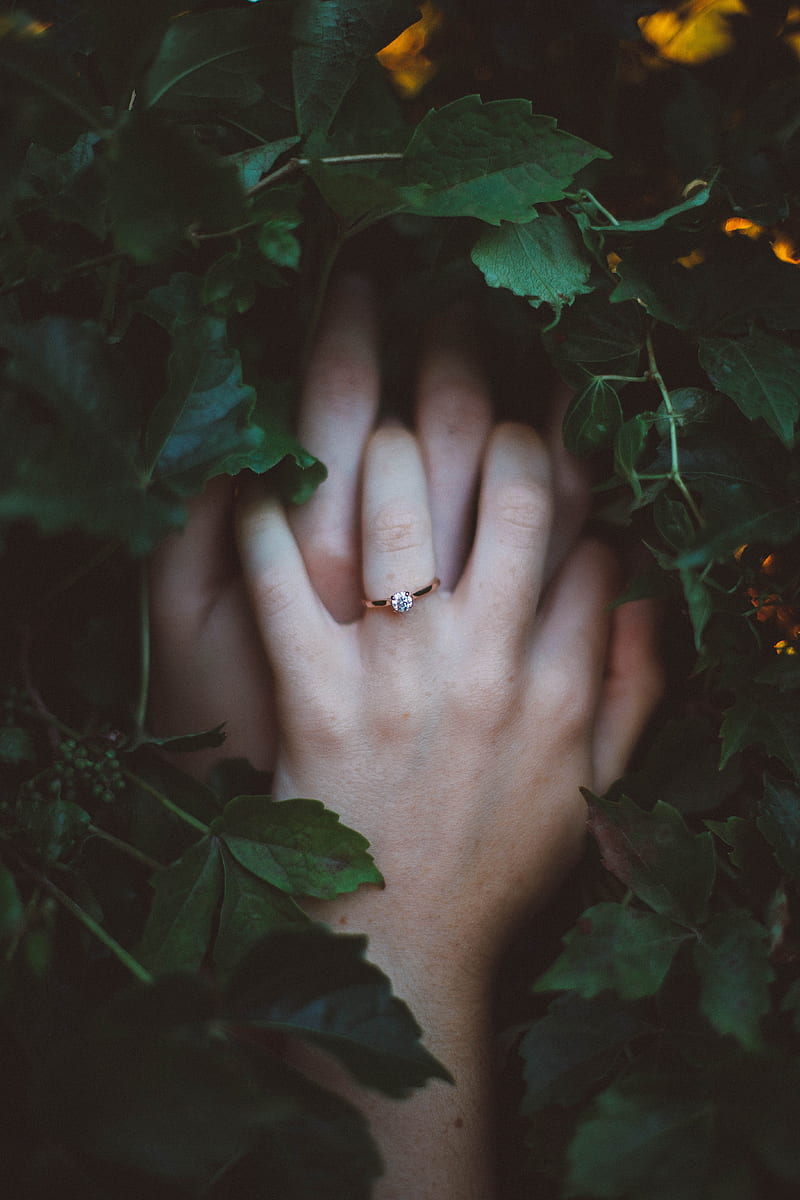 gold-colored ring on hands surrounded by green leaves, HD phone wallpaper