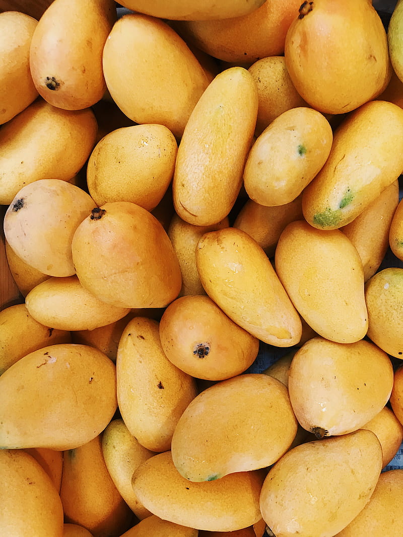Mangoes, aam, creative, fruit, fruits, fruity, funny, mango, tasty, yellow,  yummy, HD phone wallpaper | Peakpx
