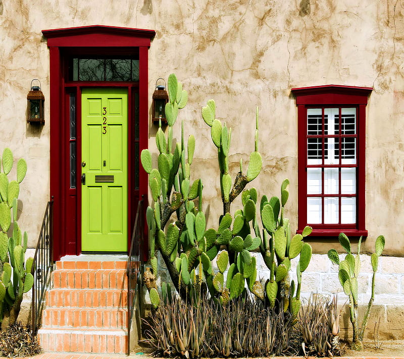 Beautiful House Door, cactus, home, mexico, vibrant, window, HD wallpaper