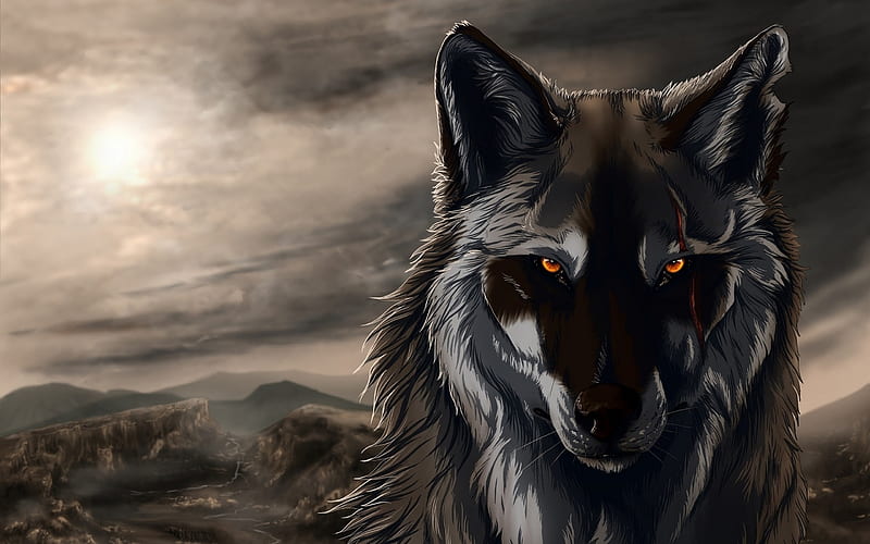 Brown Wolf, brown, epic, new, scar, sky wolf, HD wallpaper