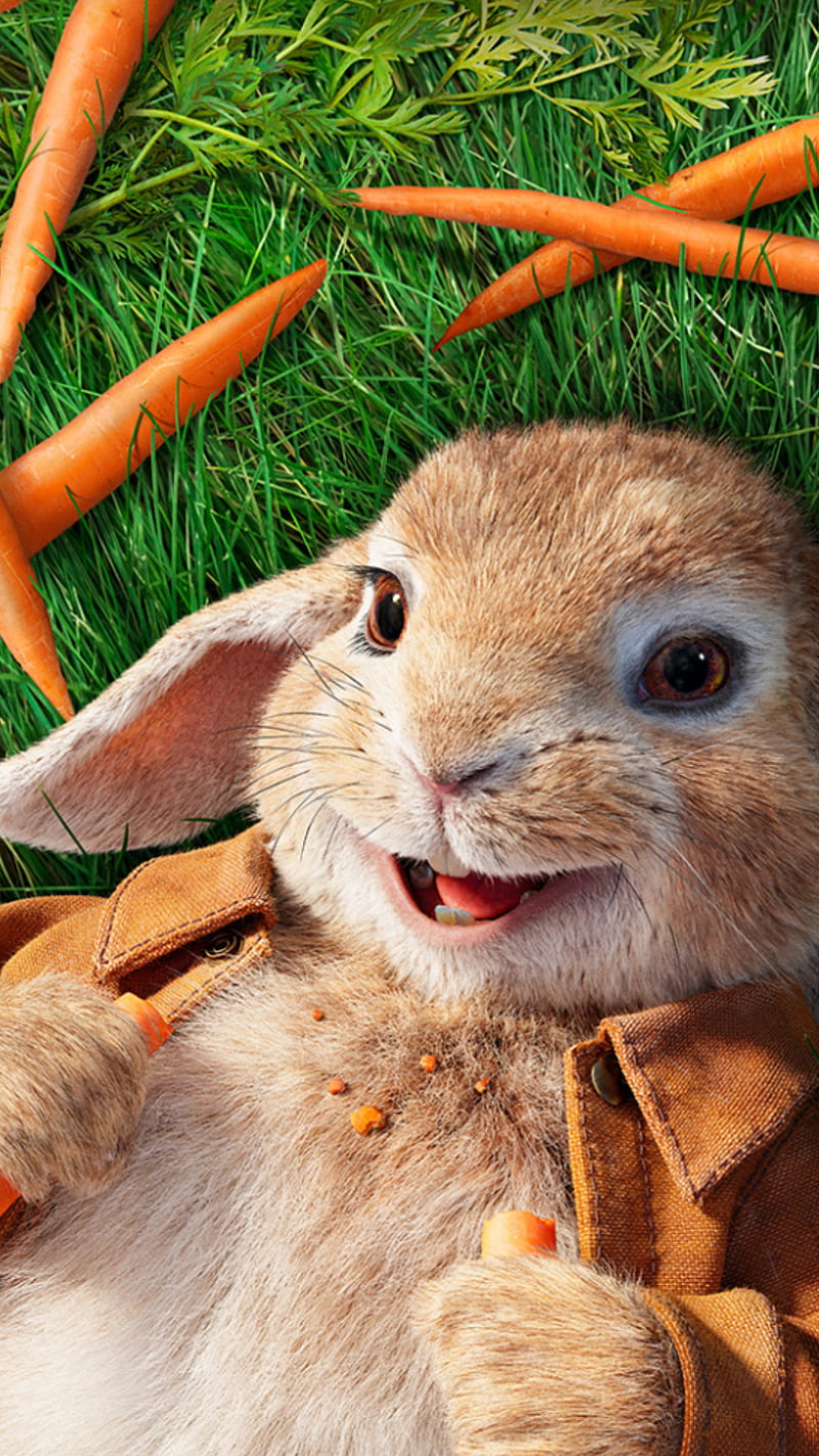 Peter rabbit, animal, carrot, humor, movie, rabit, HD phone wallpaper
