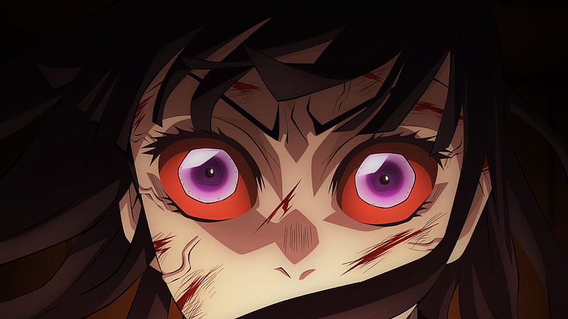 Demon Slayer Kanao Tsuyuri With Purple Eyes Anime, HD wallpaper