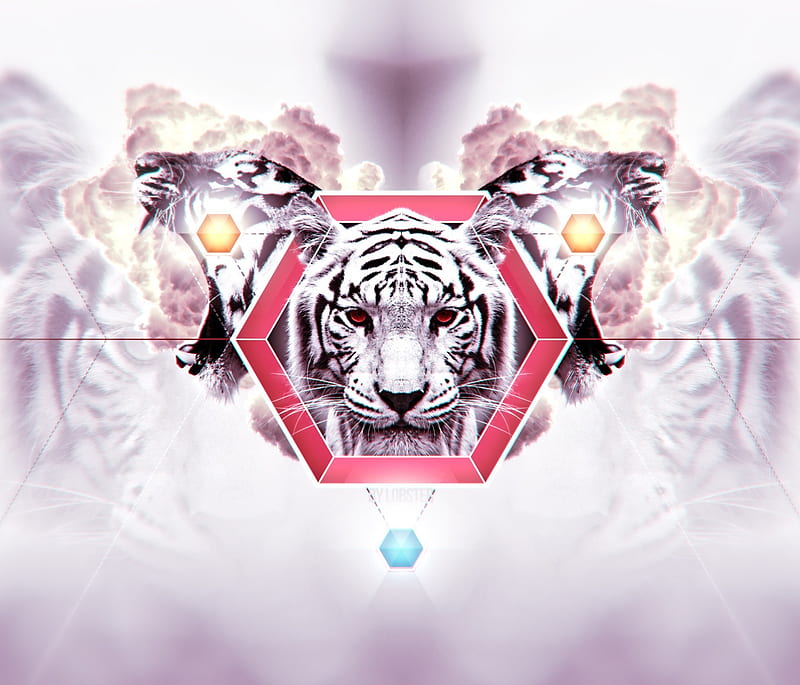 Hd Tiger Abstract Wallpapers Peakpx