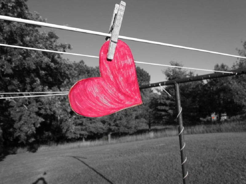 Love is in the air, red, clothes pin, grass, clothes hanger, heart, trees, sky, HD wallpaper