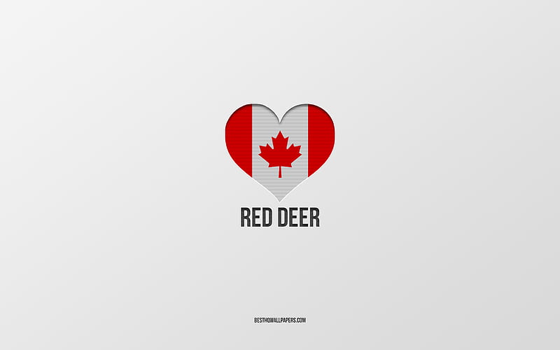 I Love Red Deer, Canadian cities, gray background, Red Deer, Canada, Canadian flag heart, favorite cities, Love Red Deer, HD wallpaper