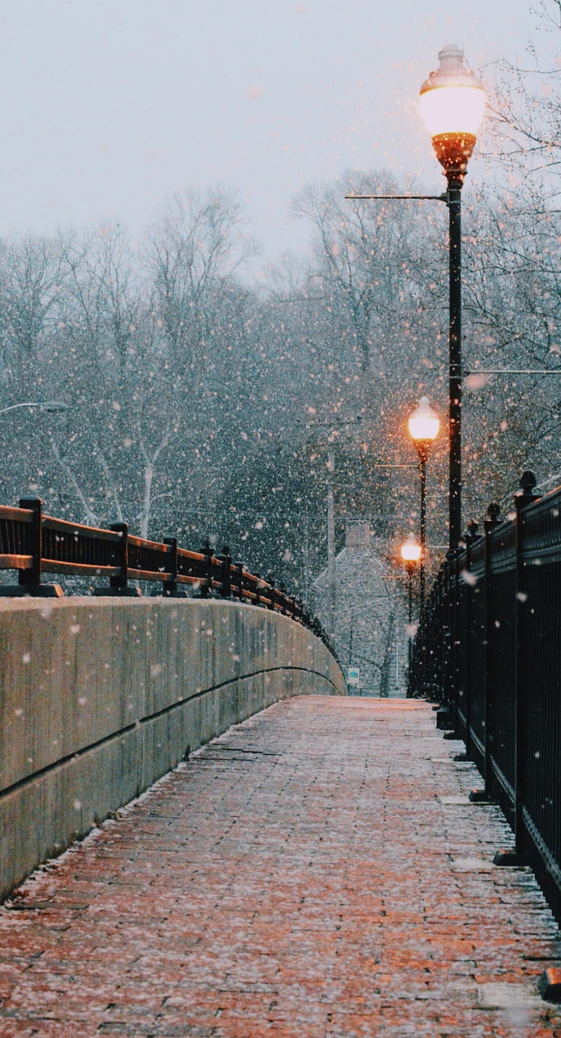 Snowfall, bridge, chistmas, nature, holidays, december, winter, snowing, snow, HD phone wallpaper