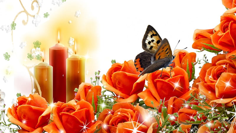 A Moth to the Flame, candle, orange, roses, floral, fire, flame, butterfly, bright, summer, hot, flowers, HD wallpaper