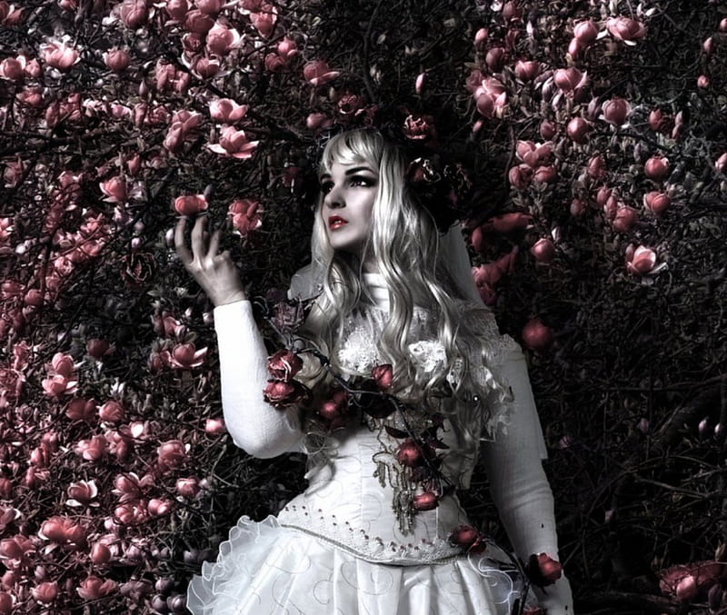 Rose Red, red, fantasy, lady, rose, HD wallpaper | Peakpx