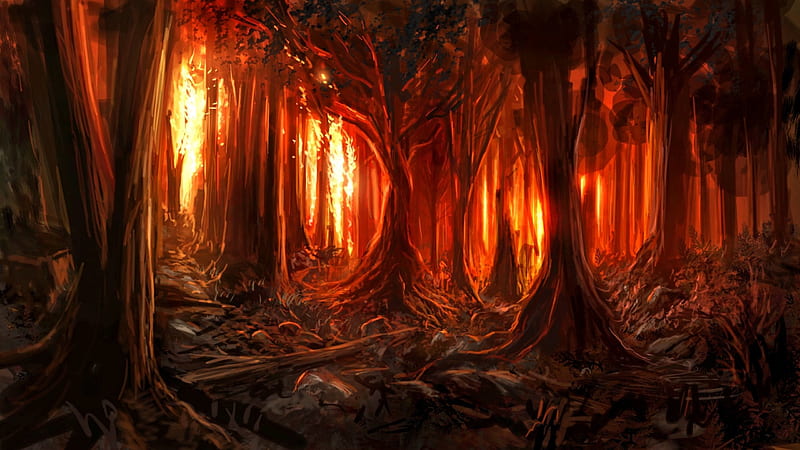 Heart of Fire, haunted, forest, fire, dark, HD wallpaper