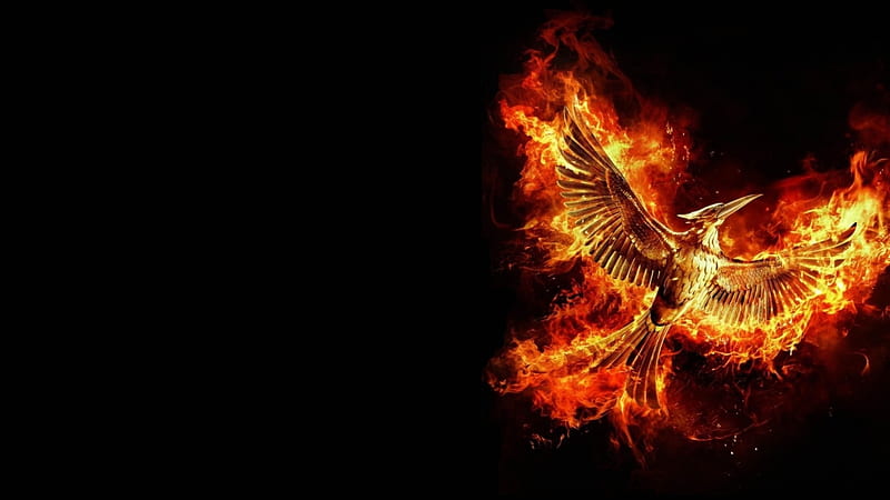 The Hunger Games: Mockingjay - Part 2 (2015), poster, movie, orange, the hunger games, black, yellow, fire, fantasy, bird, mockingjay, HD wallpaper