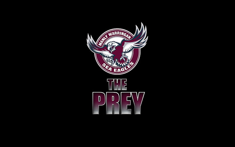 Rugby, Manly Warringah Sea Eagles, National Rugby League , NRL , Logo, HD wallpaper