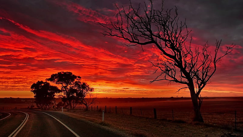 road under brilliant red sky in strathalbyn australia, red, fields, sunset, road, trees, clouds, HD wallpaper