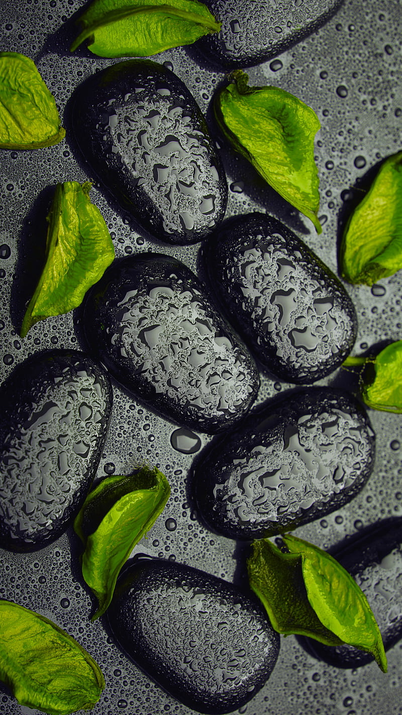 Stones, black, green, leaves, rain, water, waterdrops, HD phone wallpaper