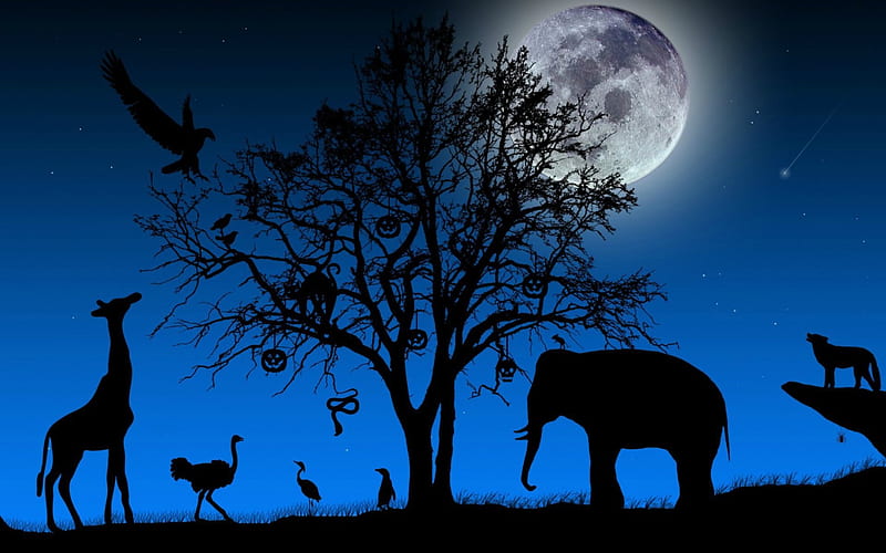 African Halloween, halloween, spider, africa, animal, moon, pumpkin, giraffe, blue, night, elephant, eagle, black, cat, tree, bird, wolf, snake, HD wallpaper