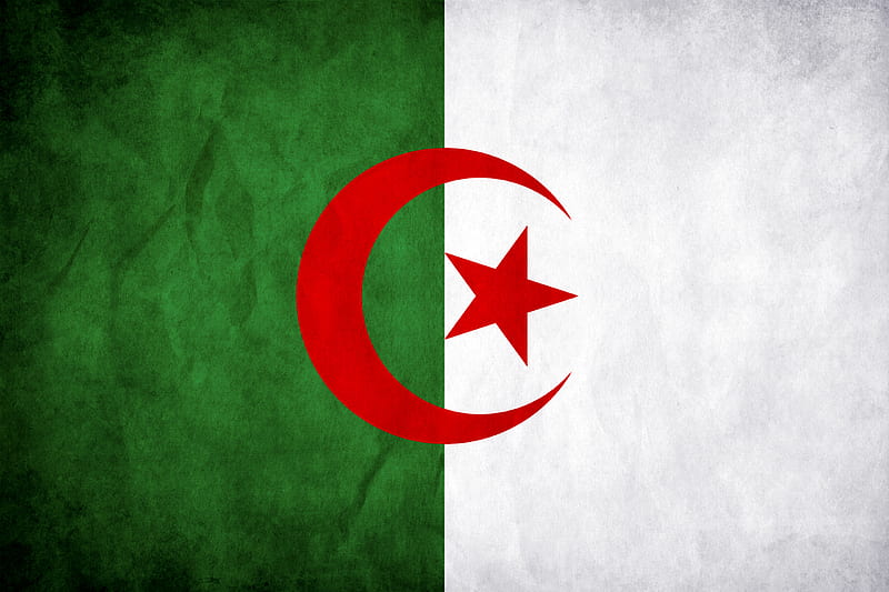 Flag Of Algeria, africa, algeria, algerian flag, country, flag, HD wallpaper