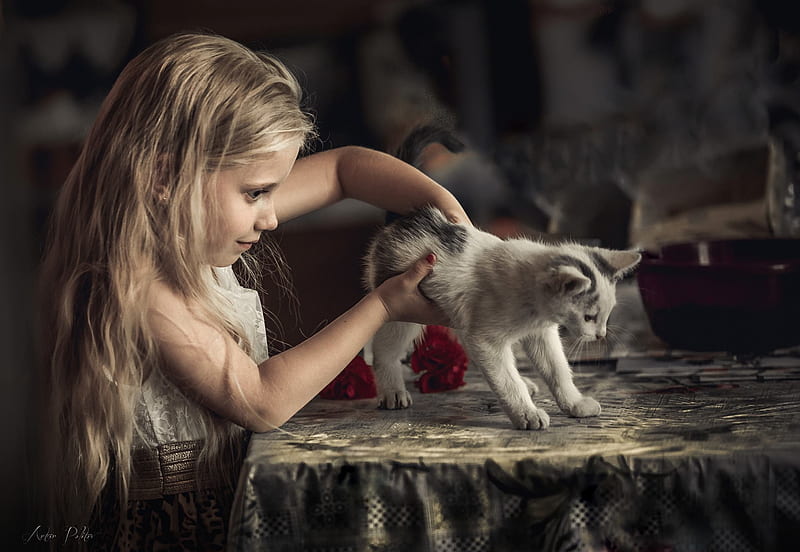 Little girl with kitten, little, girl, copil, child, cat, kitten, pisica, HD wallpaper