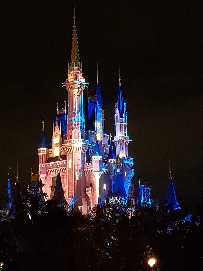 Cinderellas Castle, cinderella, magic kingdom, wdw, wish upon a star, HD phone wallpaper