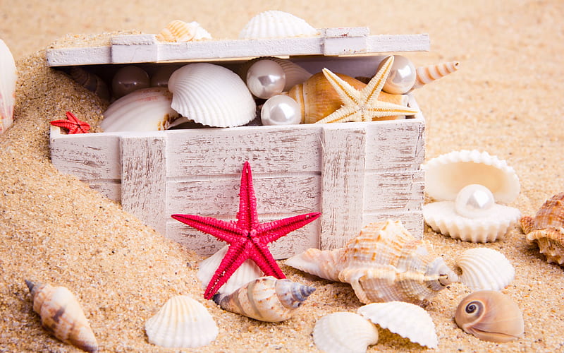 Shells, starfish, chest, red, pearl, vara, sand, shell, summer, HD wallpaper