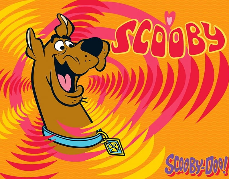 scooby doo, collar, canine, dog, HD wallpaper