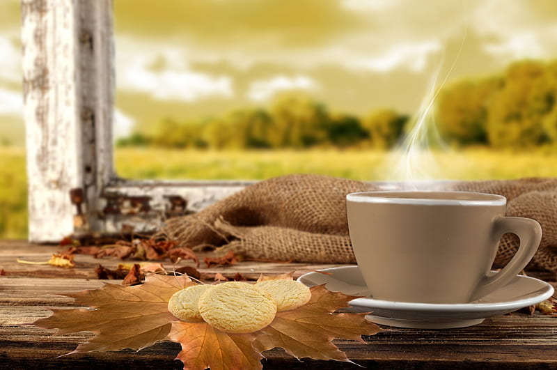 *In autumn morning*, forest, good morning, cafe, autumn, window, view, time, bisquits, hq, leaves, coffee, cup, hot, day, drink, HD wallpaper