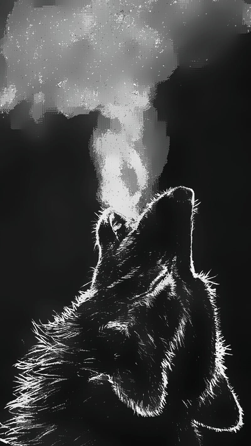 Lone Wolf, nature, HD phone wallpaper