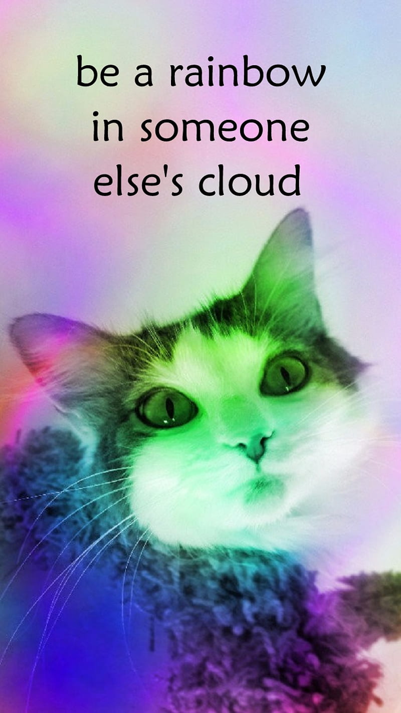 Be A Rainbow Cat, care, caring, colorful, colors, cool, cute, eyes, face, feline, inspirational, inspire, kitty, love, motivational, graph, quote, sayings, HD phone wallpaper