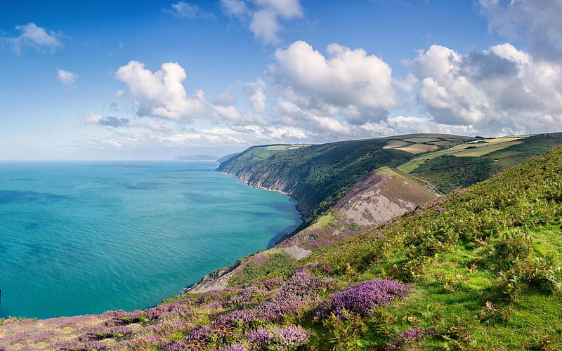 Exmoor, Brislaw Bay, Devon, Summer, Coast, Somerset, England, HD wallpaper