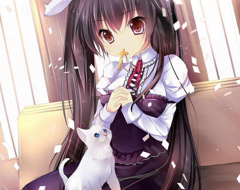 Anime, original, cross, cat, HD wallpaper Anime, original, cross, cat, HD wallpaper