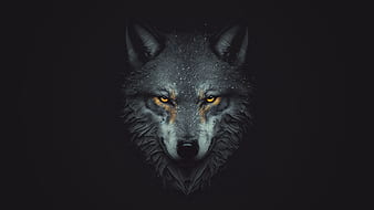 Wolf Minimalist 4K Wallpaper #6.2197