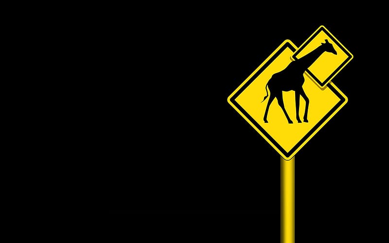Animal, Sign, Giraffe, Humor, HD wallpaper