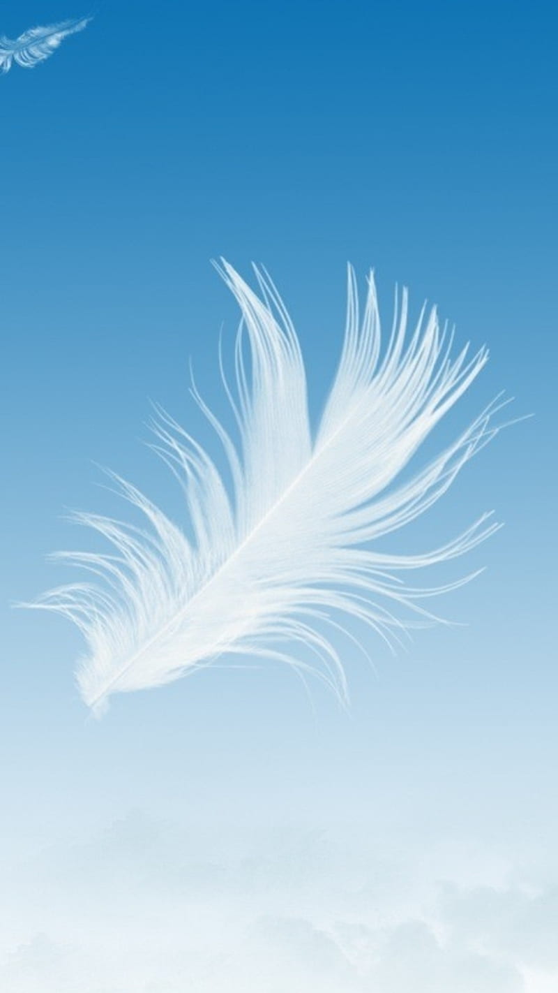 Feather, white, light color, bright, HD phone wallpaper | Peakpx