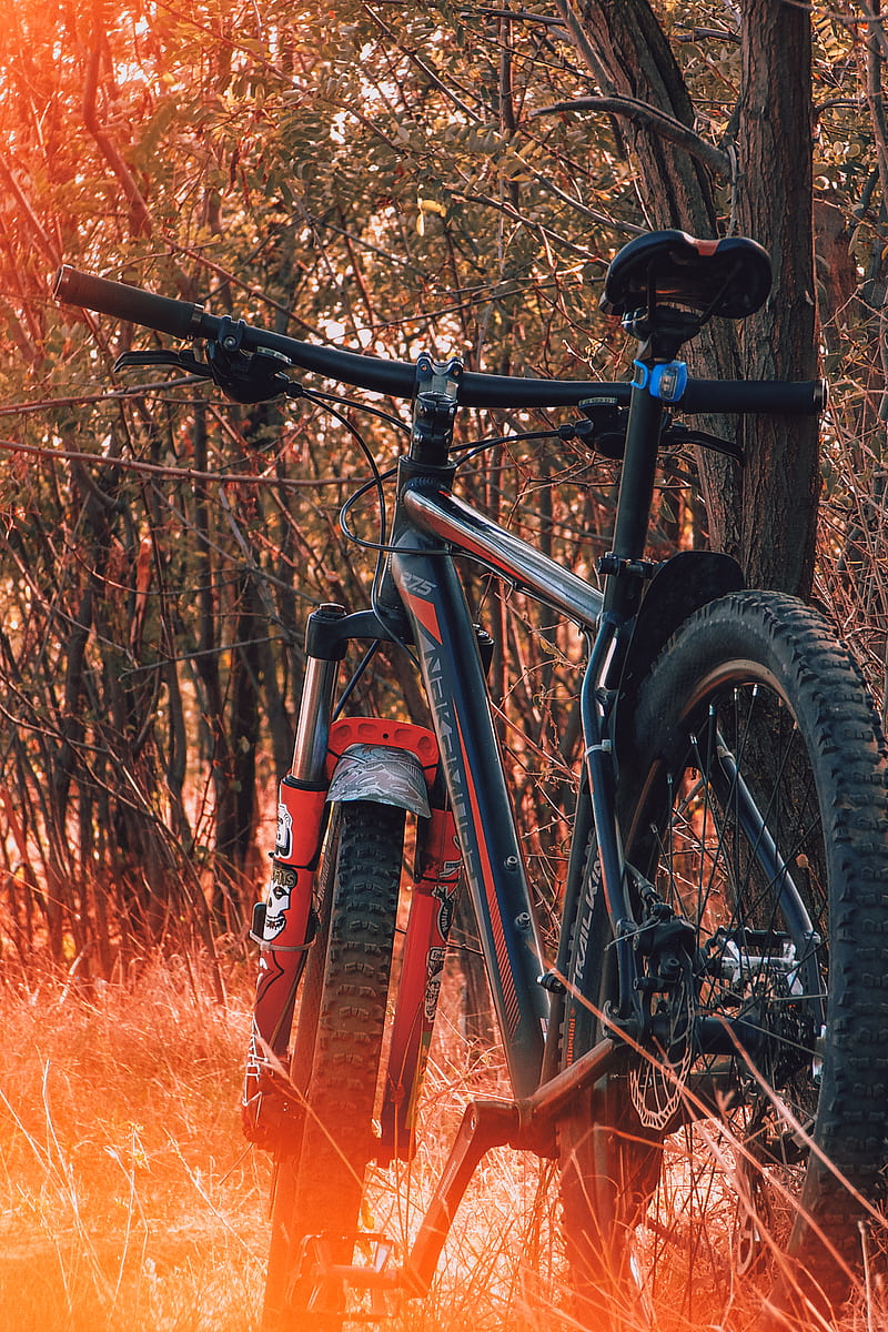 Bicicleta, bicicleta de montaña, naturaleza, Fondo de pantalla de teléfono  HD | Peakpx