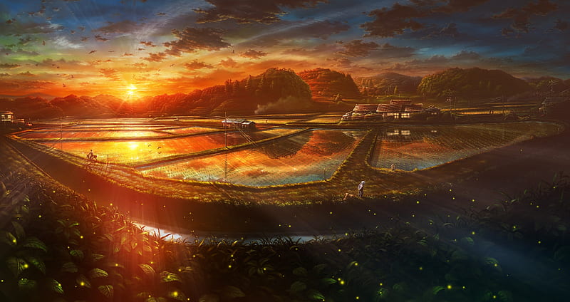 anime landscape, rice field, old man, Anime, HD wallpaper