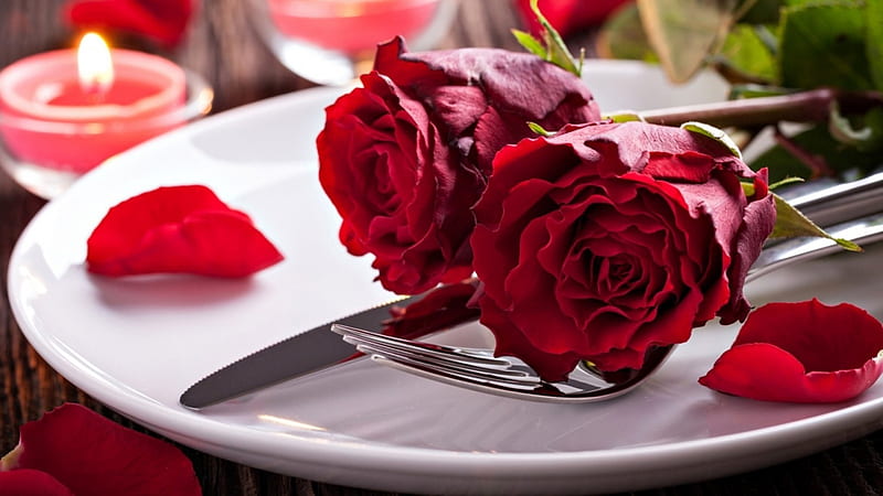 Red Roses, plate, candle, roses, utensils, HD wallpaper