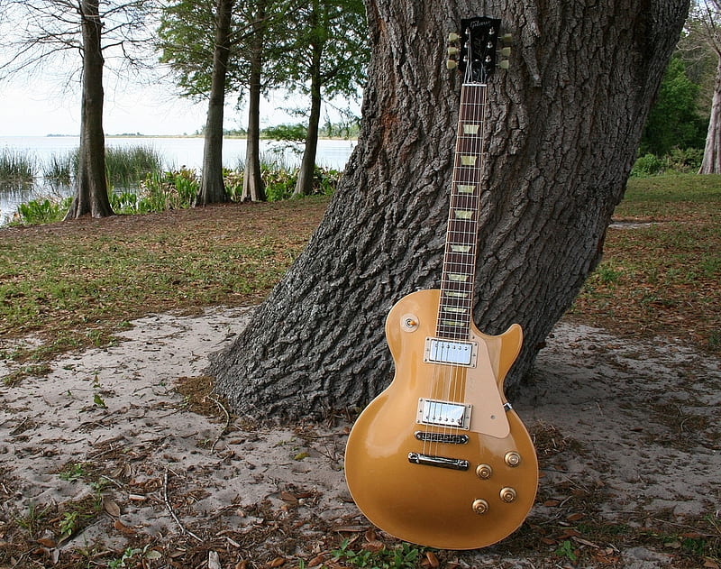 Gibson les paul 1960's gold, les paul, tree, gold, gibson, guitar, music, HD wallpaper